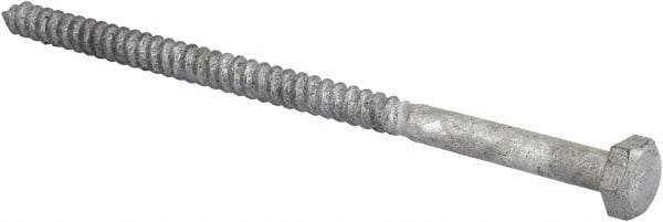 Value Collection - 1/4" Screw, 5" Length Under Head, Steel, Hex Head Lag Screw - Hot Dipped Galvanized, AISI 1006, ASME B18.2.1 Fastner, Grade 1006-1022 - Americas Industrial Supply