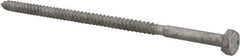 Value Collection - 1/4" Screw, 6" Length Under Head, Steel, Hex Head Lag Screw - Hot Dipped Galvanized, AISI 1006, ASME B18.2.1 Fastner, Grade 1006-1022 - Americas Industrial Supply
