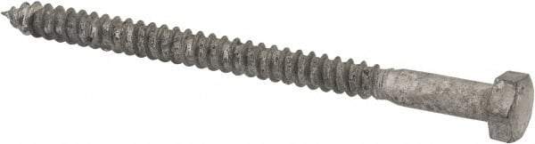 Value Collection - 5/16" Screw, 4-1/2" Length Under Head, Steel, Hex Head Lag Screw - Hot Dipped Galvanized, AISI 1006, ASME B18.2.1 Fastner, Grade 1006-1022 - Americas Industrial Supply