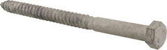 Value Collection - 1/2" Screw, 7" Length Under Head, Steel, Hex Head Lag Screw - Hot Dipped Galvanized, AISI 1006, ASME B18.2.1 Fastner, Grade 1006-1022 - Americas Industrial Supply