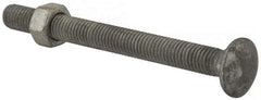 Value Collection - 1/2-13 UNC 5-1/2" Length Under Head, Standard Square Neck, Carriage Bolt - 1006-1050 Steel, Galvanized Zinc-Plated Finish - Americas Industrial Supply