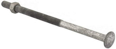 Value Collection - 1/2-13 UNC 10" Length Under Head, Standard Square Neck, Carriage Bolt - 1006-1050 Steel, Galvanized Zinc-Plated Finish - Americas Industrial Supply