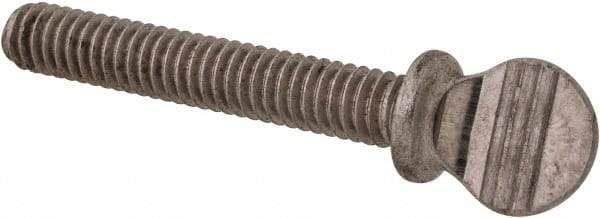 Value Collection - #8-32 Oval Shoulder Grade 18-8 Stainless Steel Thumb Screw - 1" OAL, 0.38" Head Height - Americas Industrial Supply