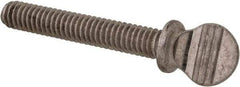 Value Collection - #8-32 Oval Shoulder Grade 18-8 Stainless Steel Thumb Screw - 1" OAL, 0.38" Head Height - Americas Industrial Supply