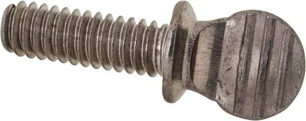 Value Collection - #10-24 Oval Shoulder Grade 18-8 Stainless Steel Thumb Screw - 3/4" OAL, 0.48" Head Height - Americas Industrial Supply