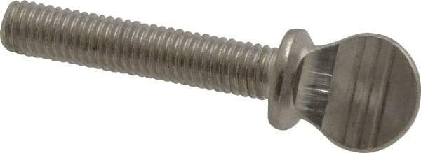 Value Collection - #10-32 Oval Shoulder Grade 18-8 Stainless Steel Thumb Screw - 1" OAL, 0.48" Head Height - Americas Industrial Supply