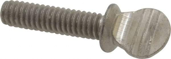 Value Collection - 1/4-20 Oval Shoulder Grade 18-8 Stainless Steel Thumb Screw - 1" OAL, 0.64" Head Height - Americas Industrial Supply