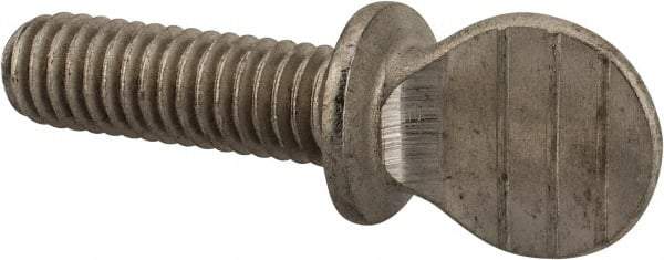 Value Collection - 5/16-18 Oval Shoulder Grade 18-8 Stainless Steel Thumb Screw - 1" OAL, 0.78" Head Height - Americas Industrial Supply