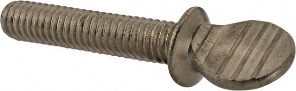 Value Collection - 5/16-18 Oval Shoulder Grade 18-8 Stainless Steel Thumb Screw - 1-1/2" OAL, 0.78" Head Height - Americas Industrial Supply