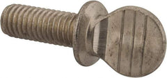 Value Collection - 3/8-16 Oval Shoulder Grade 18-8 Stainless Steel Thumb Screw - 1" OAL, 0.95" Head Height - Americas Industrial Supply