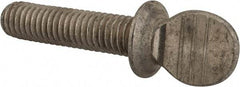 Value Collection - 3/8-16 Oval Shoulder Grade 18-8 Stainless Steel Thumb Screw - 1-1/2" OAL, 0.95" Head Height - Americas Industrial Supply