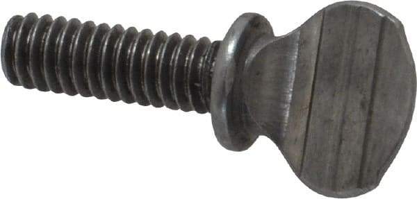 Value Collection - #8-32 Oval Shoulder Grade 2 Steel Thumb Screw - 1/2" OAL, 0.39" Head Height, Uncoated - Americas Industrial Supply