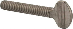 Value Collection - 1/4-20 Oval Shoulderless Grade 18-8 Stainless Steel Thumb Screw - 1-1/2" OAL, 0.64" Head Height - Americas Industrial Supply