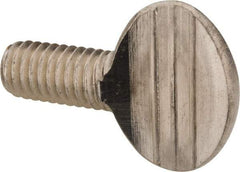 Value Collection - 3/8-16 Oval Shoulderless Grade 18-8 Stainless Steel Thumb Screw - 3/4" OAL, 0.95" Head Height - Americas Industrial Supply