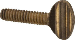 Value Collection - #10-24 Oval Shoulderless Brass Thumb Screw - 3/4" OAL, 0.48" Head Height - Americas Industrial Supply