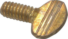 Value Collection - 1/4-20 Oval Shoulderless Brass Thumb Screw - 1/2" OAL, 0.64" Head Height - Americas Industrial Supply