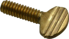 Value Collection - 1/4-20 Oval Shoulderless Brass Thumb Screw - 3/4" OAL, 0.64" Head Height - Americas Industrial Supply