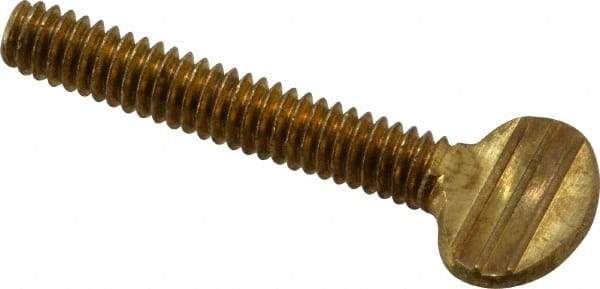Value Collection - 1/4-20 Oval Shoulderless Brass Thumb Screw - 1-1/2" OAL, 0.64" Head Height - Americas Industrial Supply