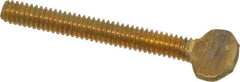 Value Collection - 1/4-20 Oval Shoulderless Brass Thumb Screw - 2" OAL, 0.64" Head Height - Americas Industrial Supply