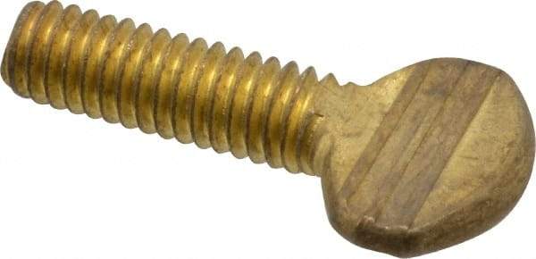 Value Collection - 5/16-18 Oval Shoulderless Brass Thumb Screw - 1" OAL, 0.78" Head Height - Americas Industrial Supply