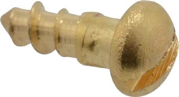 Value Collection - #2, 1/4" Length Under Head, Slotted Drive, Round Head Wood Screw - ASME B18.6.1, Brass - Americas Industrial Supply