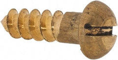 Value Collection - #12, 3/4" Length Under Head, Slotted Drive, Round Head Wood Screw - ASME B18.6.1, Brass - Americas Industrial Supply