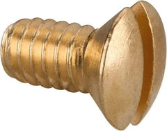 Value Collection - 1/4-20 UNC, 1/2" OAL Slotted Drive Machine Screw - Oval Head, Brass, Uncoated, Without Washer - Americas Industrial Supply