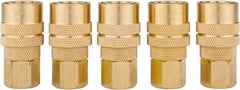 Value Collection - 5 Piece 1/4" Body 1/4 NPT 145 psi Brass Industrial Pneumatic Coupling Plug Set - Americas Industrial Supply