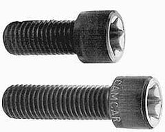 Camcar - 3/8-16 UNC Torx Plus Drive, Socket Cap Screw - Alloy Steel, Black Oxide Finish, Partially Threaded, 2-1/4" Length Under Head - Americas Industrial Supply