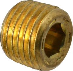 Unbrako - 1/4-18, 13/32" OAL, Brass Socket Pressure Plug - 7/8" Taper per Foot, 1/4" Hex Key - Americas Industrial Supply