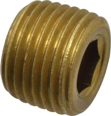 Unbrako - 1/8-27, 5/16" OAL, Brass Socket Pressure Plug - 3/4" Taper per Foot, 3/16" Hex Key - Americas Industrial Supply