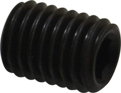 Value Collection - M12x1.75, 16mm OAL, Flat Point Set Screw - Grade 14.9 (45H) Alloy Steel, 6mm Key - Americas Industrial Supply