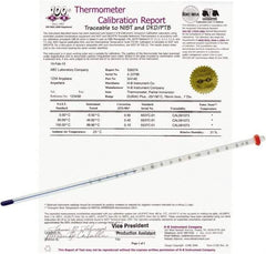 H-B Instruments - -20 to 110°C, Organic Filled Precision Thermometer - 12 Inch Immersion Length - Americas Industrial Supply