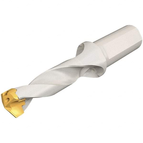 Iscar - 18 to 18.9mm Diam, 3xD, 54mm Max Depth, 25mm Shank Diam, 136.5mm OAL, Replaceable Tip Drill - IDK, IDM, IDN, IDP Insert, 18 Seat Size, DSM Toolholder, Series ChamDrillJet - Americas Industrial Supply