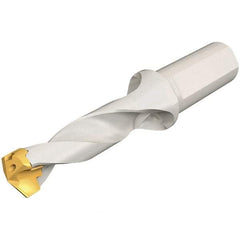 Iscar - 18 to 18.9mm Diam, 3xD, 54mm Max Depth, 25mm Shank Diam, 136.5mm OAL, Replaceable Tip Drill - IDK, IDM, IDN, IDP Insert, 18 Seat Size, DSM Toolholder, Series ChamDrillJet - Americas Industrial Supply