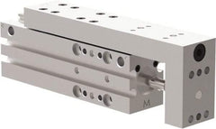 De-Sta-Co - 25mm Stroke, 0.4331" Shaft Diam, Double-Acting Cylinder, Pneumatic Slide - 102mm Long x 20mm Wide, Buna-N Seal, Ball Bearing, Series DLM - Americas Industrial Supply