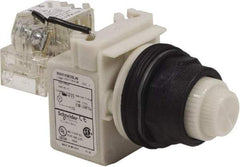 Schneider Electric - 120 V White Lens LED Press-to-Test Indicating Light - Round Lens, Screw Clamp Connector, Corrosion Resistant, Dust Resistant, Oil Resistant - Americas Industrial Supply