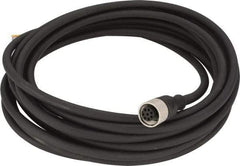 Telemecanique Sensors - 2 Amp, M12 8 Pin Female Straight Cordset Sensor and Receptacle - 250 VAC, 300 VDC, 5m Cable Length, IP67 Ingress Rating - Americas Industrial Supply