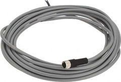 Telemecanique Sensors - 3 Amp, M8 3 Pin Female Straight Cordset Sensor and Receptacle - 60 VAC, 75 VDC, 5m Cable Length, IP67 Ingress Rating - Americas Industrial Supply