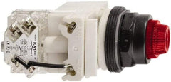 Schneider Electric - 120 V Red Lens LED Press-to-Test Indicating Light - Octagonal Lens, Screw Clamp Connector, Vibration Resistant - Americas Industrial Supply