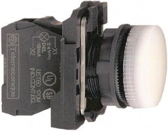 Schneider Electric - 230-240 VAC at 50/60 Hz White Lens LED Pilot Light - Round Lens, Screw Clamp Connector, 30mm Wide, Vibration Resistant, Water Resistant - Americas Industrial Supply