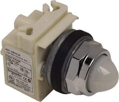 Schneider Electric - 120 V White Lens LED Pilot Light - Round Lens, Screw Clamp Connector - Americas Industrial Supply