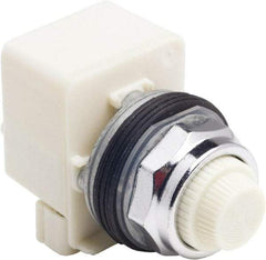 Schneider Electric - 120 V White Lens LED Indicating Light - Screw Clamp Connector - Americas Industrial Supply