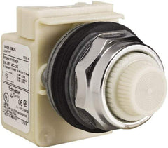 Schneider Electric - 28 V White Lens Indicating Light - Screw Clamp Connector - Americas Industrial Supply