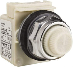 Schneider Electric - 120 VAC White Lens Indicating Light - Screw Clamp Connector - Americas Industrial Supply