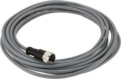 Telemecanique Sensors - 3 Amp, M12 4 Pin Female Straight Cordset Sensor and Receptacle - 250 VAC, 300 VDC, 5m Cable Length, IP67 Ingress Rating - Americas Industrial Supply