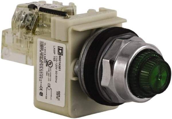 Schneider Electric - 120 VAC Green Lens Indicating Light - Screw Clamp Connector - Americas Industrial Supply