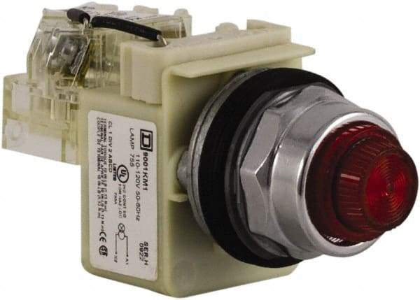 Schneider Electric - Red Lens Press-to-Test Indicating Light - Screw Clamp Connector - Americas Industrial Supply