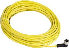 Telemecanique Sensors - 4 Amp, Elbowed Female Connector 1/2 inch 20 UNF 3 Pin Cordset Sensor and Receptacle - 250 VAC, 300 VDC, 10m Cable Length, IP65, IP67 Ingress Rating - Americas Industrial Supply