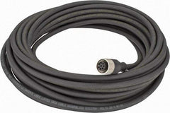 Telemecanique Sensors - 2 Amp, M12 Cable Straight with Female Prewired Connector Sensor and Receptacle - 30 VAC, 36 VDC, 10m Cable Length, IP67 Ingress Rating - Americas Industrial Supply